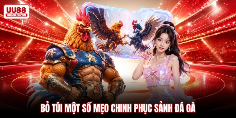 Bỏ túi một số mẹo chinh phục sảnh đá gà