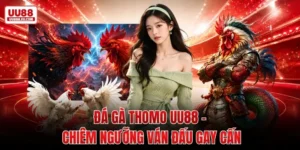 Đá Gà Thomo UU88 - Chiêm Ngưỡng Ván Đấu Gay Cấn