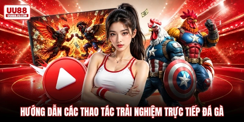 Hướng dẫn các thao tác trải nghiệm trực tiếp đá gà