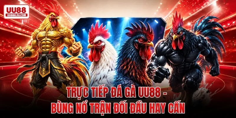 Trực Tiếp Đá Gà UU88 - Bùng Nổ Trận Đối Đầu Hay Cấn